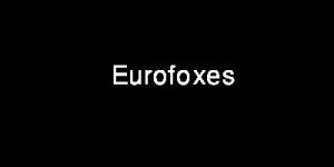 Eurofoxes 